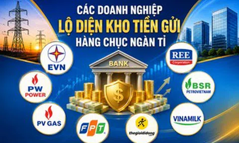 Không riêng EVN, nhiều "ông lớn" cũng có hàng chục ngàn tỉ đồng gửi ngân hàng
