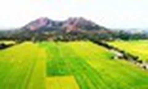 Ngôi làng ở VN mưa xuống có lúc nhặt được vàng: Khai quật hơn 100 cổ vật, 19 món thành bảo vật quốc gia
