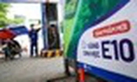 Xăng E10 được kiểm định thế nào trước khi ra thị trường?