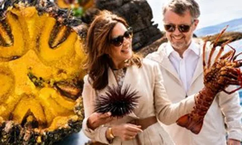 Vương hậu Mary của Đan Mạch cầm loài hải sản mà người Việt gọi là "nhân sâm biển": Đặc sản tiến vua, nướng mỡ hành thơm lừng cả phố