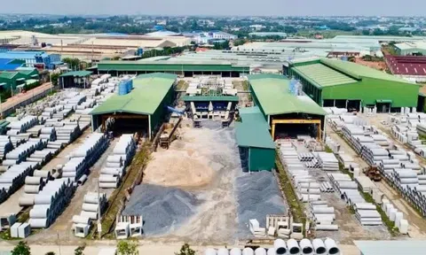 Xin kiểm tra cổ phiếu chính công ty mình vì lo bị thâu tóm