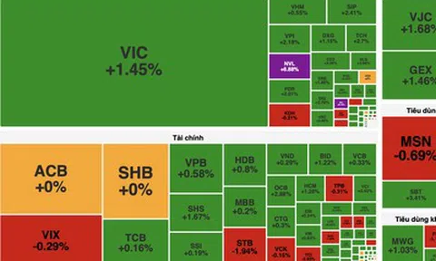 Dòng tiền lan tỏa, VN-Index tăng hơn 10 điểm nhờ nhóm bất động sản và tài chính