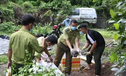 Tây Ninh tiêu hủy 127 kg thằn lằn núi Bà Đen vận chuyển trái phép