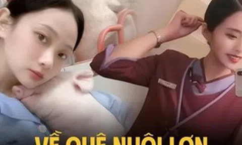 Bỏ việc tiếp viên hàng không về quê nuôi lợn, tháng kiếm hơn 300 triệu