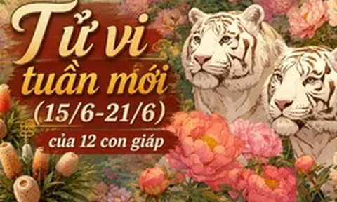 Tử vi tuần mới (15/6-21/6): Top 3 con giáp được Thần Tài "độ", công việc lên hương, tiền bạc nở rộ