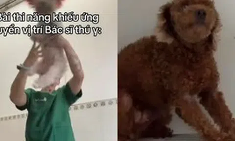 Bác sĩ thú y ở TP.HCM bị chỉ trích khi giày vò chó mèo ở phòng khám, càng lên tiếng càng gây phẫn nộ