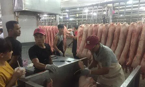 Giá heo hơi hôm nay, 16-6: Chợ đầu mối quay đầu giảm