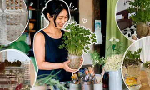 Tôi đã thử ngâm vài hạt đậu phộng trong nước suốt 15 ngày và bất ngờ nhận được một “khu rừng mini” xanh mát: Không tốn tiền mua cây mà vẫn có góc thư giãn cực chữa lành