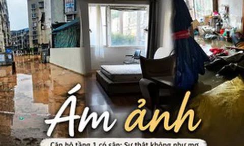 Hối hận ngập tràn vì mua căn hộ tầng 1 có sân riêng: Chỉ sau 6 tháng đã phải bán lỗ, bài học đắt giá từ giấc mơ “nhà vườn giữa phố”