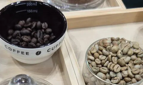 Giá cà phê hôm nay 17-6: Arabica bùng nổ, Robusta nối dài chuỗi tăng