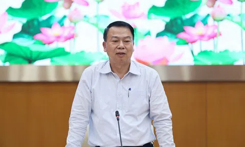 Thứ trưởng Tài chính lý giải nguyên nhân nhập siêu tăng vọt hơn 15 tỷ USD