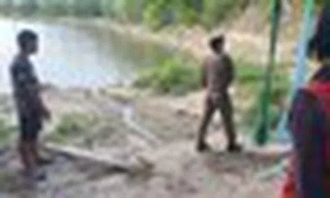 Dẫn trâu đi ăn cỏ, người đàn ông bàng hoàng khi phát hiện "người quen" nhờ chi tiết này: Vụ việc kỳ quái!