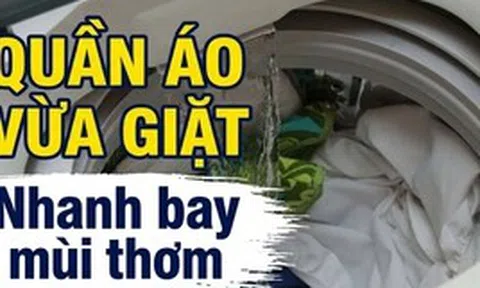 Vì sao quần áo mới giặt xong lại nhanh bay mùi thơm?