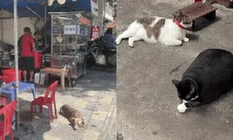 Khách Trung mách cách tìm quán ăn ngon ở Việt Nam: 3 dấu hiệu chứng tỏ "biết quá nhiều", điều thứ 3 khiến netizen cười "muốn điên" vì quá đúng