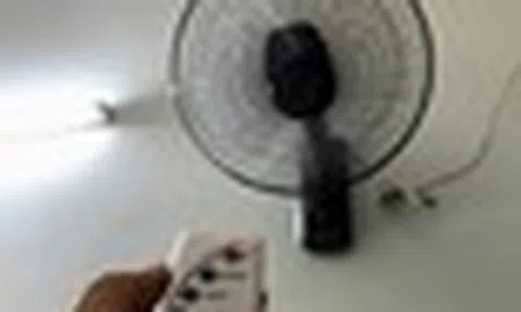 Có cần rút dây điện, phích cắm quạt sau khi tắt không? EVN giải đáp