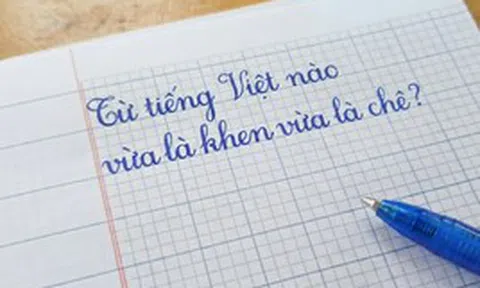 Trong tiếng Việt có một từ vừa là khen ngợi vừa là chê bai