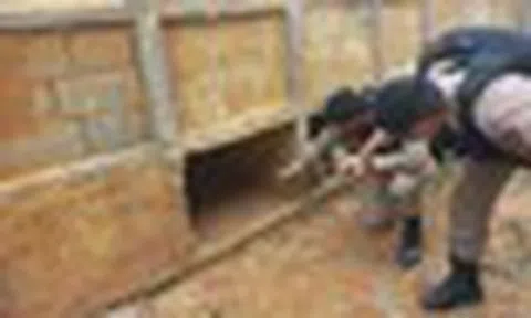 Đến nghĩa trang làm việc, nhóm công nhân hoảng loạn khi nghe tiếng thét phát ra từ ngôi mộ bị bịt kín