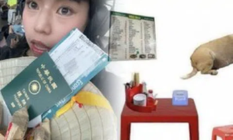 Du khách quốc tế truyền tai nhau mẹo ăn ngon ở Việt Nam: Bàn nhựa, ghế đỏ và chó béo