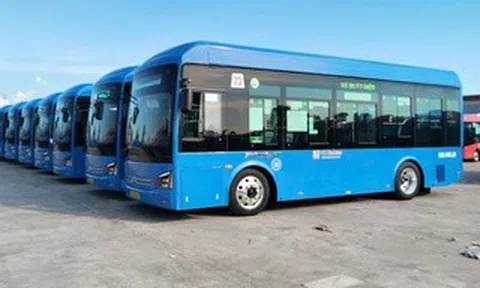 TPHCM thay mới xe buýt trên 3 tuyến từ cuối tháng 6