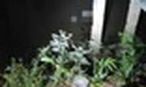 Người đàn ông mất tích sau giờ làm, gần nửa đêm được tìm thấy trong tình trạng khiến gia đình ngã quỵ