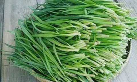 Những tác dụng của lá hẹ với sức khỏe ít người biết