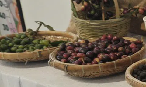 Giá cà phê hôm nay 26-6: Robusta tăng 3 phiên liền, cà phê Việt mở rộng thị phần tại Mỹ