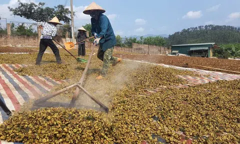 Quảng Ninh: Giữ vững đà tăng trưởng ngành nông nghiệp