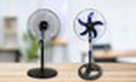 Dùng quạt 3 cánh hay 5 cánh mát hơn? Giật mình biết đáp án