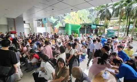 Chi tiết học phí hàng tháng của 2 trường THPT công lập mới thành lập đang được phụ huynh quan tâm nhất hiện nay!