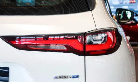 Cách điện hóa của Mazda tại Việt Nam