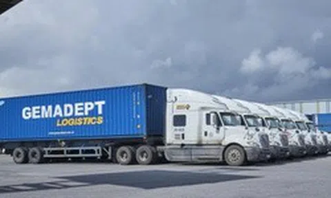 Gemadept sắp phát hành gần 6,4 triệu cổ phiếu cho cán bộ, nhân viên xuất sắc