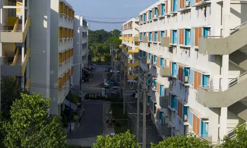 Thủ tướng giao các tỉnh thành chuẩn bị quỹ đất sạch làm nhà ở cho thuê