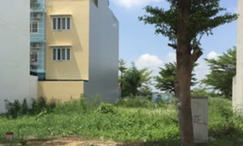 Tôi vô tình biết được bố mẹ chồng đã bán đất từ nhiều tháng trước, lý do nực cười là... vì tôi
