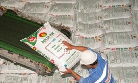 Đạm Cà Mau chốt chi hơn 1.000 tỷ đồng trả cổ tức trong tháng 7