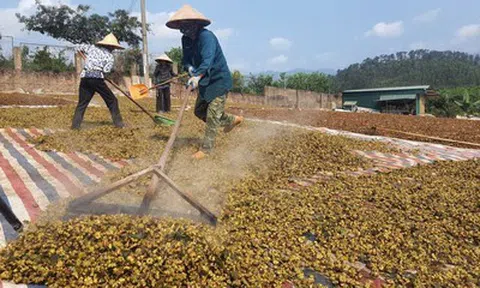 Quảng Ninh: Giữ vững đà tăng trưởng ngành nông nghiệp