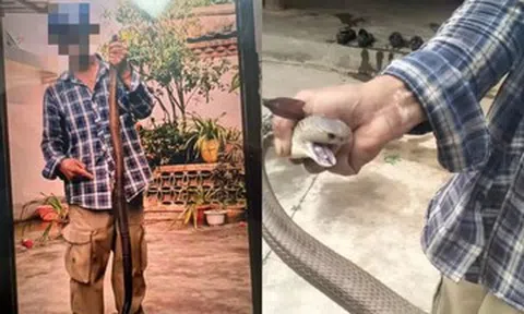 Bị rắn độc cắn vẫn chụp ảnh, người đàn ông 58 tuổi 'chật vật' thoát cửa tử