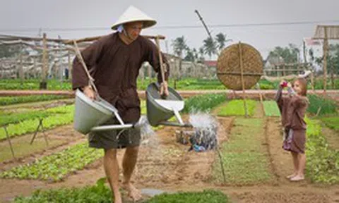 Việt Nam có ngôi làng khách Tây xếp hàng để được làm nông dân, bí quyết rau ngon nằm ở một loại "phân bón" lạ