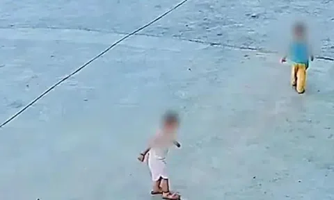 Hai đứa trẻ vô tình giẫm trúng rắn hổ mang và cái kết