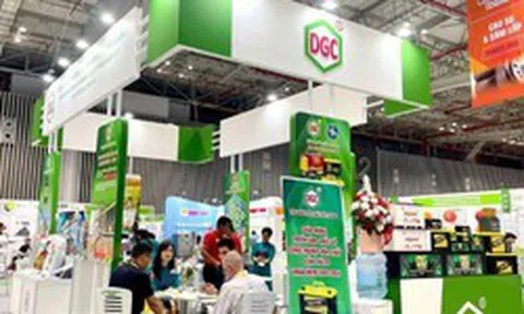 Lý do cổ phiếu DGC tiếp tục bị đưa vào diện cảnh báo