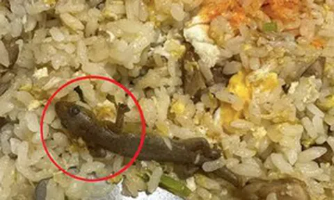 Đang ăn cơm rang, cô gái sốc khi thấy thứ "đáng sợ" trong đĩa