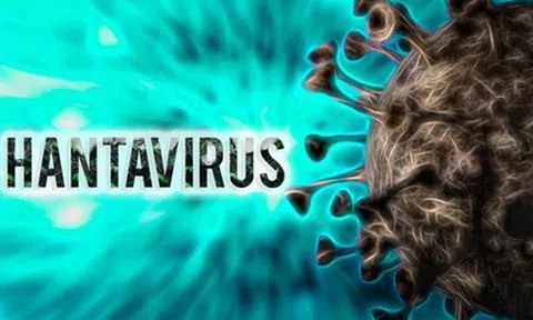 Bộ Y tế thông tin mới nhất về bệnh do virus Hanta