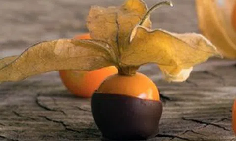 Loại quả dại ở Việt Nam “lên đời” thành đặc sản ở trời Tây, giá cao bất ngờ