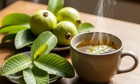 Uống 20 lá ổi mỗi ngày để chữa bệnh, người đàn ông Hà Nội nhận kết quả bất ngờ sau 3 tháng