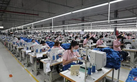 Lợi nhuận Dệt may Thành Công giảm mạnh