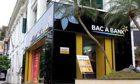 Bac A Bank phát hành hơn 80 triệu cổ phiếu trả cổ tức, tăng vốn lên 11.525 tỷ đồng