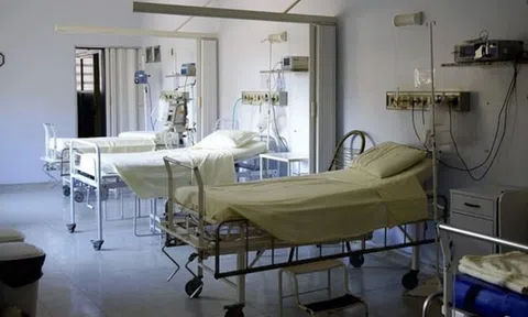 Đang ngủ trong ký túc xá, 4 học sinh bị rắn độc cắn