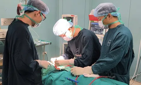 Bác sĩ cảnh báo nguy cơ sốc nhiễm khuẩn sau nhổ răng ở người có bệnh nền