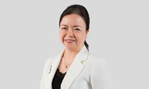 'Nữ tướng' Mai Thanh chính thức rời ghế Chủ tịch REE