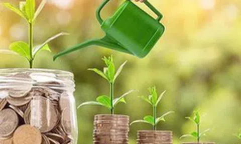 Lịch chốt quyền trả cổ tức trong tuần từ ngày 13/7-17/7, tỷ lệ cao nhất 50%