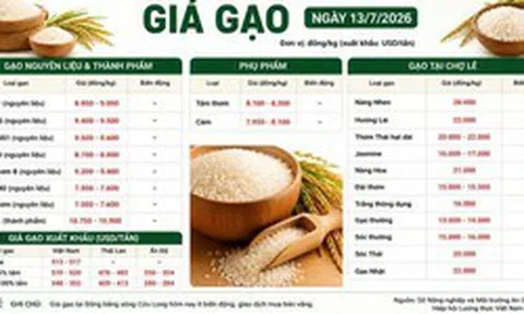 Thị trường hàng hoá 13/7: Giá hồ tiêu tích cực, heo hơi tăng nhẹ